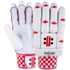 Gray-Nicolls Test Original 1500 Batting Gloves – Adults Left-Hand